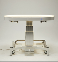 Table de toilettage pour animaux de compagnie électrique à levage automatique, avec commande tactile, en acier inoxydable de luxe, YM-D008