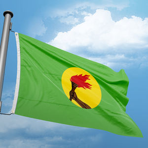 Desain kustom poliester bendera nasional Promosi sisi ganda pencetakan spanduk Zaire 3x5FT bendera untuk dekorasi dalam ruangan luar ruangan - Product Image 1