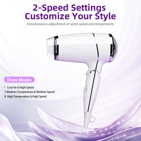 Sèche-cheveux compact professionnel pliable, neuf, 1600W, moteur DC ionique, 2 vitesses, protection thermique, usage domestique