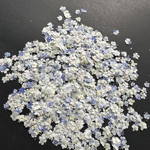Flor de encaje azul para arte de uñas Marcapáginas Resina <span class=keywords><strong>Planta</strong></span> natural Flor prensada real ecológica - Product Image 6