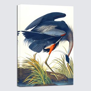 Impression sur toile suspendue Art Déco John <span class=keywords><strong>James</strong></span> Audubon Flamant rose américain et Heron bleu, décoration intérieure pour salon et chambre à coucher, vente en gros - Product Image 2