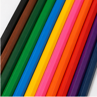 FLOWood 12 crayons de couleur vibrants avec trou de suspension, boîte fenêtrée, application de couleur brillante et lisse, mine résistante à la casse pour le dessin artistique