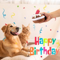 Jouet pour chien grinçant écologique gâteau d'anniversaire pour animaux de compagnie fabricant de son sac de fournitures en peluche résistant à la mastication emballé