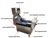 Industriële gemotoriseerde automatische groente- en fruitblokjes snijmachine van roestvrij staal 304 met 110V/220V/380V