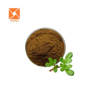 מחיר המפעל <span class=keywords><strong>brahmi</strong></span> תמצית טבעי bacopa monnieri לחלץ bacopasides אבקת - Product Image 2