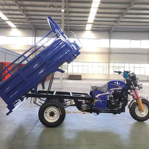 New Style 300cc Tricycle Passenger And Cargo Tricycle Motorcycle Fuel Gasoline 3 Wheels Motorcycle