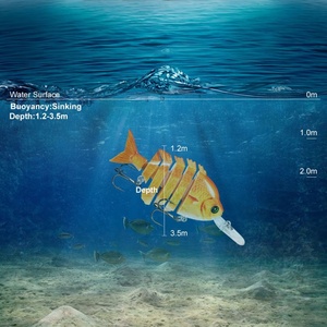 6 Phân Đoạn Nhiều Cá Hồi Giống Như Cá Hồi Trên Mặt Nước - Product Image 5