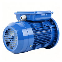 Moteur asynchrone monophasé série ML, gamme complète 0,25-4 kW, cadre 71-112 mm, 220 V