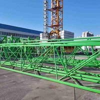 Grúa Torre de Construcción Nueva de 10T, 12T, 16T, Grúa Torre de Cabeza de Martillo, Grúa Torre Trepadora, Mejor Precio de Venta