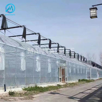 ฟิล์มพลาสติกเรือนกระจกการเกษตรเรือนกระจกฟาร์มแนวตั้ง Hydroponic ทาวเวอร์อุโมงค์เรือนกระจก