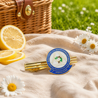 Barrette à cravate personnalisée avec logo sur mesure, accessoires pour hommes, métal doré ou argenté
