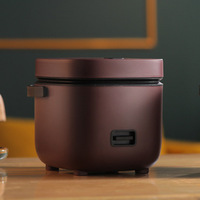 Cuiseur à riz portable personnalisé de 1,2 L pour 1 à 2 personnes Cuiseur électrique multifonction avec pot à revêtement antiadhésif