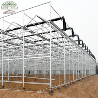 Serre en verre Venlo pour installations agricoles modernes