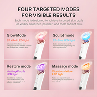 Appareil facial certifié CE, outil de soin personnel portable, rechargeable par USB, manuel d'instructions personnalisé en anglais, kit d'accessoires complet