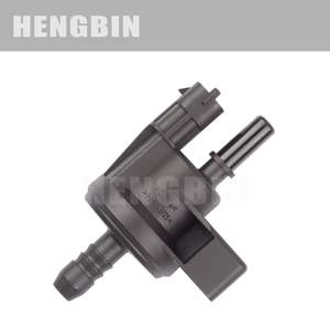 Soupape solénoïde de canister à charbon Pompe à carburant et pièces 55566387 0280142489 - Product Image 1