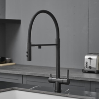 Robinet d'évier de cuisine à osmose inverse avec tube en silicone, 2 poignées, filtre purificateur d'eau 3 en 1, robinet d'eau potable en laiton
