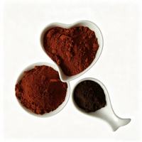 Poudre de Pigment Oxyde de Fer Brun de Fabricant Chinois pour Applications Revêtements de Sols, Tuiles de Toiture et Peintures – Poudre Inorganique à Haute Dureté