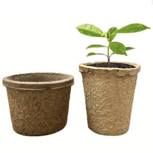 Bandejas para Plántulas de Alta Calidad, Fabricadas en Taiwán, de Papel Reciclado, con Gran Capacidad de Carga, Venta al Por Mayor - Product Image 3