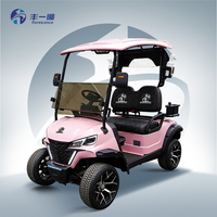 Voiturette de golf électrique 2 places certifiée CE chinoise, puissante, avec moteur KDS 5KW, batterie lithium 48V, châssis en acier, neuve à vendre