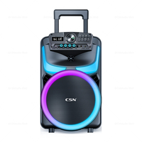 CSN-801 Haut-parleur portable de 10 pouces en forme de corne avec éclairage latéral RGB et son de qualité – Modèle exclusif