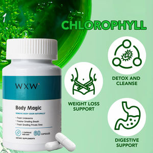 Stock WXW Complexe de Chlorophylline Cuivre Biologique Supplément Capsule Dure Soutien Immunitaire pour Adultes Pas pour Enfants Femmes Enceintes - Product Image 3