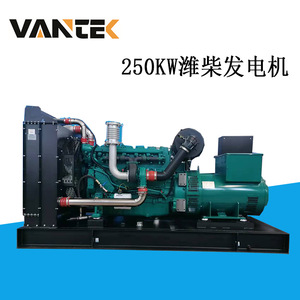 Groupe électrogène diesel Jiangsu Wantai 250 kW 320 kVA 50 Hz 1500 tr/min avec télécommande - Product Image 3