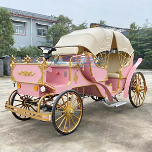 Carruaje Eléctrico Personalizado de Fábrica para Eventos Especiales, Carroza Real sin Caballos para Bodas - Product Image 4