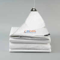 Bâche de protection de qualité export, double revêtement, imperméable, pour le transport de marchandises et la protection logistique