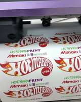 Japan Mimaki Rol Snijplotter CG-60AR Automatische Sticker Snijmachine Te Koop