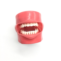 Tête fantôme de simulateur dentaire de modèle de tête simple pour l'éducation de dentiste modèle de tête d'enseignement de dentiste fantôme pour la formation