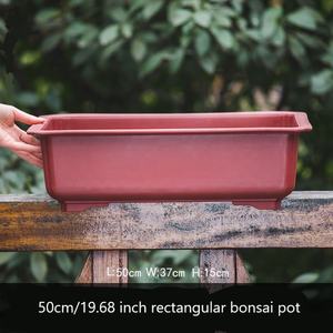 <span class=keywords><strong>Maceta</strong></span> de <span class=keywords><strong>entrenamiento</strong></span> de bonsái Rectangular clásica de plástico de 50cm/19,68 pulgadas para bonsái de árbol - Product Image 5