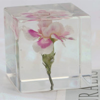 Cube de résine acrylique transparent avec feuille d'érable et fleur séchées, presse-papiers décoratif de bureau