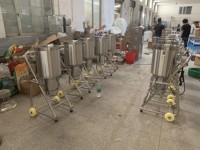 Roestvrijstalen Fruit Groentepulp Sap Maken Extractor Machine Mango Tomatenpulp Commerciële Appelblender Vleesmolen