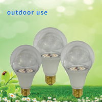 B22 Full Spectrum Grow Gloeilamp-Ideaal Voor Chrysant-En Drakenfruitgroei