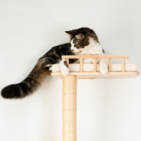 Grand arbre à griffer grimpant moderne de luxe Condo Maison en bois personnalisable avec grattoirs et lit pour chats Usine directe