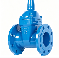 Vanne à opercule à joint souple, manuelle, avec verrouillage antivol crypté, raccord fileté pour entrée de compteur, PN16, OEM disponible, 1/2in-2in, pour alimentation en eau