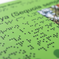 Panneau de bois extérieur personnalisé panneau de signalisation de parc affichage 3D relief aveugle braille UV Durable impression symbole graphique carte signes