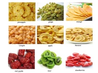 Warmtepomp RVS Energiebesparende Fabrieksprijs Gedroogde Mango Fruit Inktvis Hetelucht Voedsel Dehydrator Machine Fruitdroger