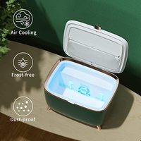 Kulkas Makeup 6L 9L Baru Tiba DC12V AC Kulkas Kecil untuk Perawatan Kulit Kecantikan Kulkas Kosmetik Mini