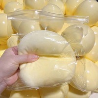 Jumbo Fluid Daifuku Squishy Soft Anti-Anxiety ADHD Sensory Fidget Toy Premium TPR Hyper Tactile Calm Gear B2B Retail Ready