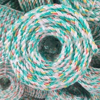 Vente en gros de cordes tressées en nylon de 6mm 7mm 8mm 10mm Cordon PP/Polyester/Nylon Cordon tressé en PE