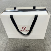 Sacs cadeaux/boîtes alimentaires en carton blanc recyclable de luxe HBD, avec poignée longue et ruban, logo personnalisable, vente en gros