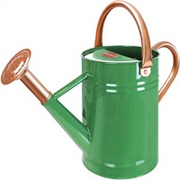 Arrosoir de jardin vintage noir de 1 gallon avec buse amovible, en métal galvanisé, pour plantes d'intérieur et d'extérieur
