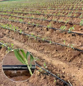 16mm PE serra nastro di <span class=keywords><strong>irrigazione</strong></span> a goccia per ortaggi agricoli per giardinaggio giardino <span class=keywords><strong>irrigazione</strong></span> fattoria <span class=keywords><strong>tubo</strong></span> dell'acqua in plastica - Product Image 6