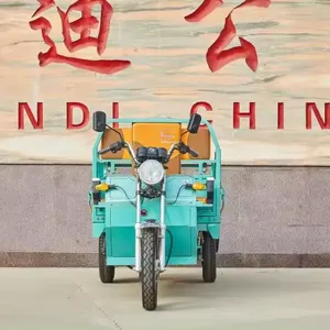 2024 Factory Supplier Auto electric cargo tricycle