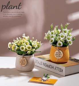 Décoration de jardin directe d'usine pots de plantes givrés pot de fleur en céramique succulent fait main pour jardinière - Product Image 6