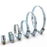 Meilleure vente d'usine engrenage à vis sans fin personnalisé Auto Clips Allemagne Type collier de serrage pour réparation de voiture colliers de serrage