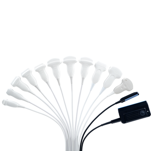 Periodieke Draagbare Medische Veterinaire Echografie Apparatuur Dier Echografie Scanner - Product Image 2