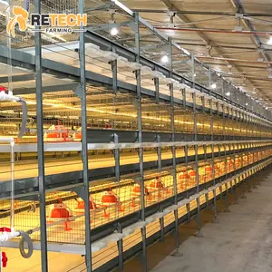 Poultry Farming Broiler Chicken Cage Automatic Control System Safer Raising Environment
