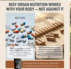 Complément alimentaire en capsules <span class=keywords><strong>de</strong></span> complexe d'organes <span class=keywords><strong>de</strong></span> bœuf nourri à l'herbe avec un mélange <span class=keywords><strong>de</strong></span> foie, <span class=keywords><strong>de</strong></span> cœur, <span class=keywords><strong>de</strong></span> pancréas, <span class=keywords><strong>de</strong></span> testicules et <span class=keywords><strong>de</strong></span> moelle osseuse - Product Image 5